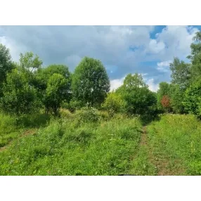 Переуступка права аренды 13 га