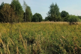 Продам участок