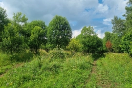 Переуступка права аренды 13 га